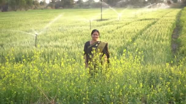 農業灌漑システムを持つ小麦畑のインド人女性 バックグラウンドの水スプリンクラー — ストック動画