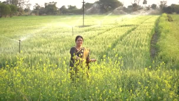 Indiska Kvinnor Ett Vetefält Med Jordbruksbevattningssystem Vattenspridare Bakgrunden — Stockvideo