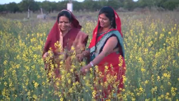 Tarım Alanında Mutlu Hintli Kadınlar — Stok video
