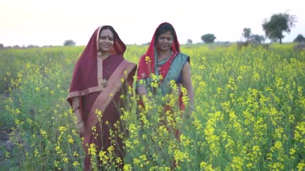 Tarım Alanında Mutlu Hintli Kadınlar — Stok video