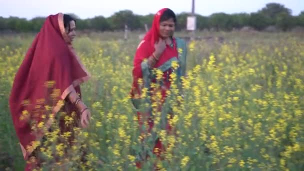 Mulheres Indianas Felizes Campo Agricultura — Vídeo de Stock