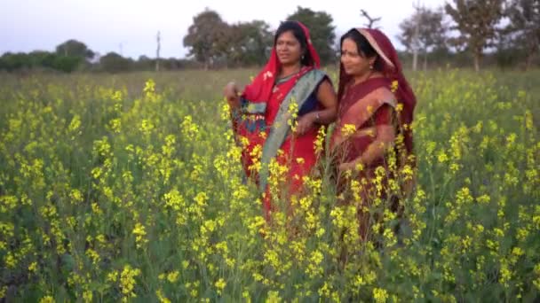 農業分野で幸せなインド人女性 — ストック動画