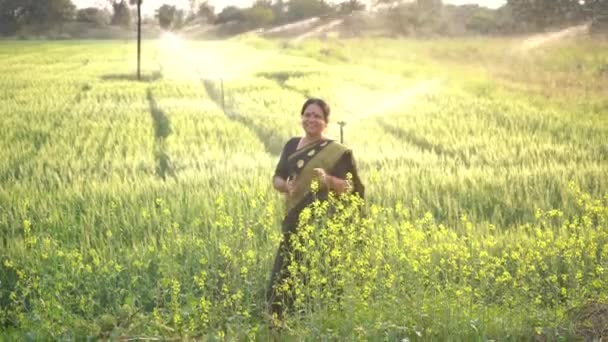 Indiase Vrouwen Een Tarweveld Met Landbouwirrigatiesysteem Watersproeiers Achtergrond — Stockvideo