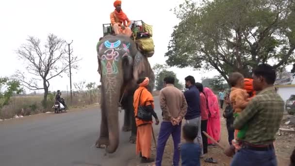 Seoni Madhya Pradesh India Februari 2022 Sadhu Loopt Met Olifant — Stockvideo