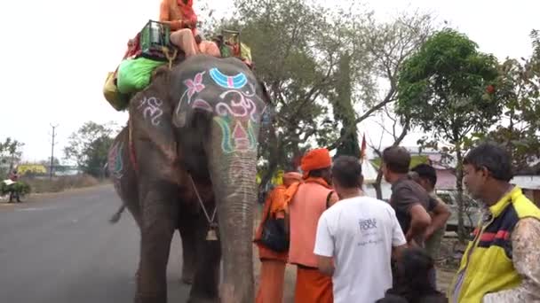Seoni Madhya Pradesh India February 2022 Sadhu Walking Elephant Highway — Stock Video