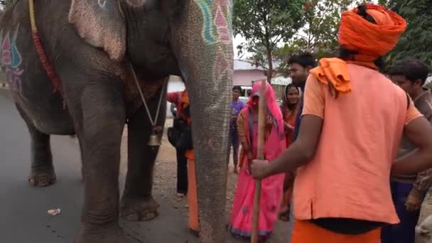 Seoni Madhya Pradesh India 2022년 19일 고속도로에서 코끼리와 — 비디오