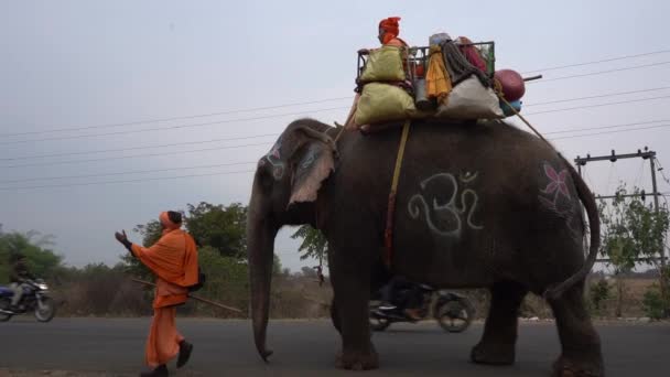 Seoni Madhya Pradesh India February 2022 Sadhu Walking Elephant Highway — Stock Video