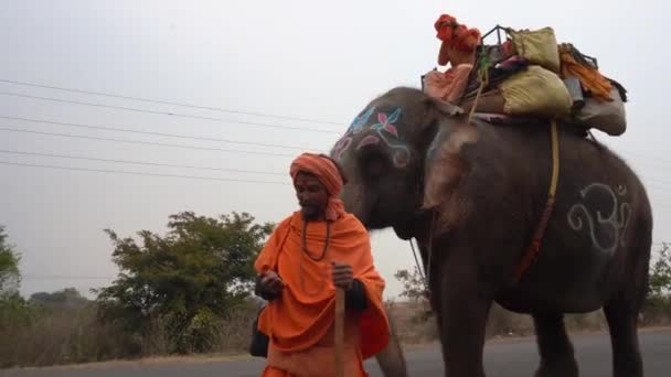Сеони Мадья Прадеш Индия Февраля 2022 Года Садху Прогуливается Слоном — стоковое видео