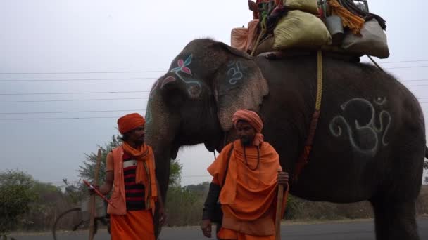 Seoni Madhya Pradesh India Febbraio 2022 Sadhu Cammina Con Elefante — Video Stock
