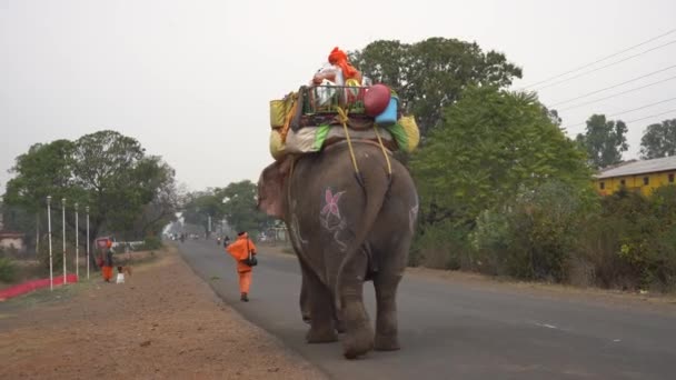 Seoni Madhya Pradesh India Februari 2022 Sadhu Loopt Met Olifant — Stockvideo