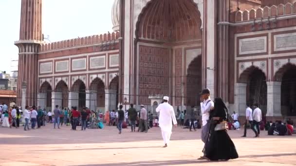 Delhi India Agosto 2022 Turistas Indios Visitan Jama Masjid Delhi — Vídeo de stock