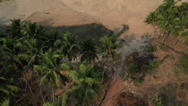 Luchtfoto Beelden Van Mooiste Stranden Van Konkan Kust Maharashtra Drone — Stockvideo