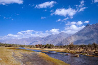 Dağ nehri manzarası, dağ deresi, Ladakh