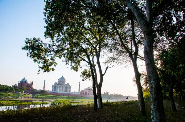 View Taj Mahal Bank Yamuna River Unesco World Heritage Site — Stock Photo, Image