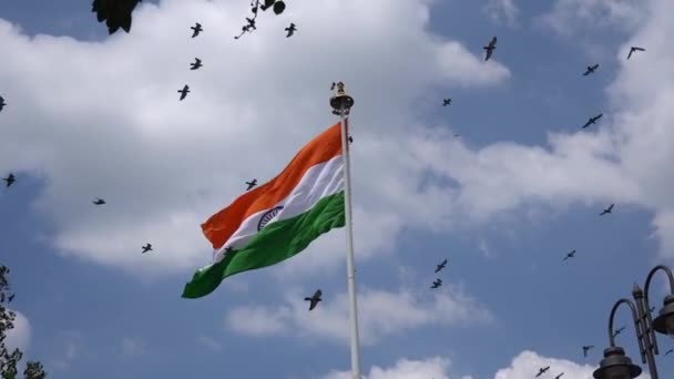 天空背景上的三色旗印度国旗 — 图库视频影像