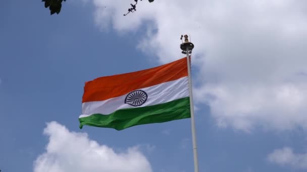 Tricolor Indiase Nationale Vlag Lucht Achtergrond — Stockvideo