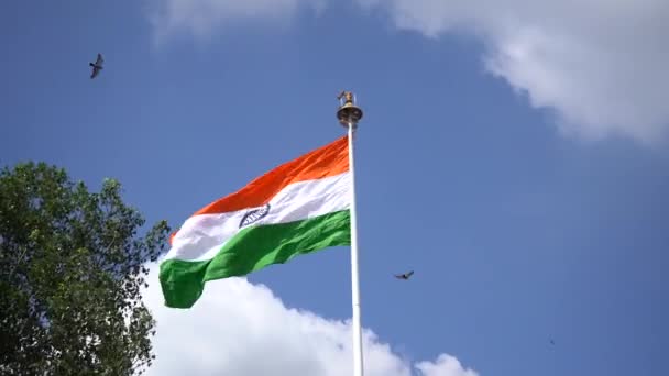 空の背景にトリコロールインディアン国旗 — ストック動画