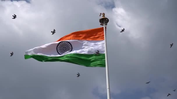 Tricolor Ινδική Εθνική Σημαία Στο Φόντο Του Ουρανού — Αρχείο Βίντεο