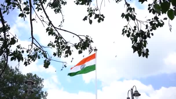 Tricolor Indiska National Flag Himlen Bakgrund — Stockvideo