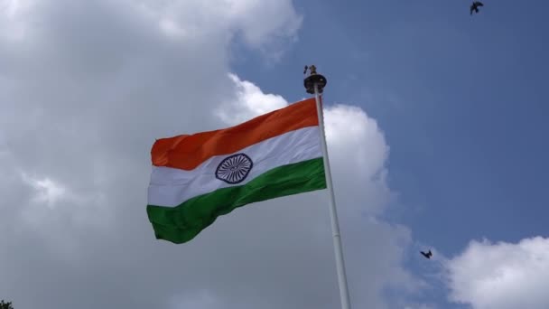 Tricolor Ινδική Εθνική Σημαία Στο Φόντο Του Ουρανού — Αρχείο Βίντεο