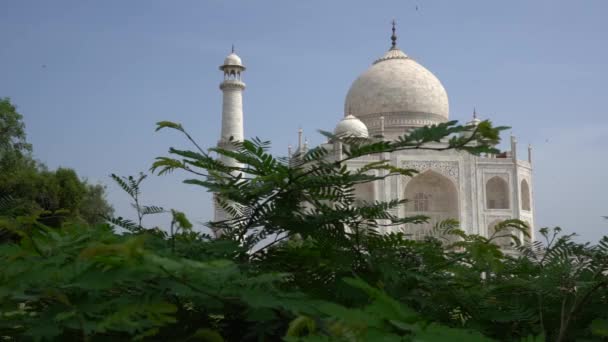 Taj Mahal Unesco Werelderfgoed Agra India — Stockvideo