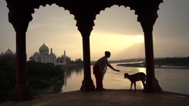 Kobieta Kozą Przed Taj Mahal Wpisane Listę Światowego Dziedzictwa Unesco — Wideo stockowe