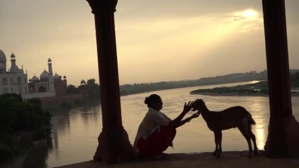 Vrouw Met Geit Voor Taj Mahal Unesco Werelderfgoed Agra India — Stockvideo