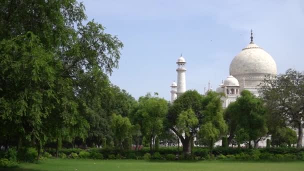 Taj Mahal Unesco Weltkulturerbe Agra Indien — Stockvideo