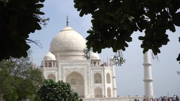 Taj Mahal Wpisane Listę Światowego Dziedzictwa Unesco Agra Indie — Wideo stockowe
