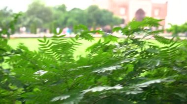 Taj Mahal, UNESCO Dünya Mirası sahası, Agra, Hindistan.