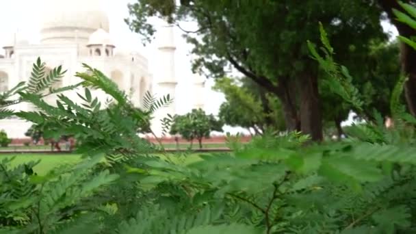 Taj Mahal Patrimoniul Mondial Unesco Agra India — Videoclip de stoc