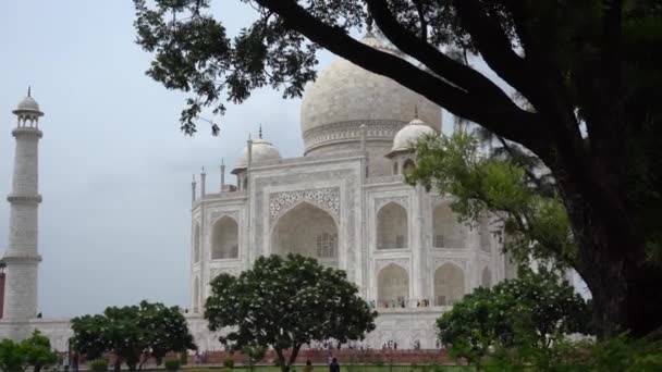 Taj Mahal Unesco Verdensarvsliste Agra Indien – Stock-video