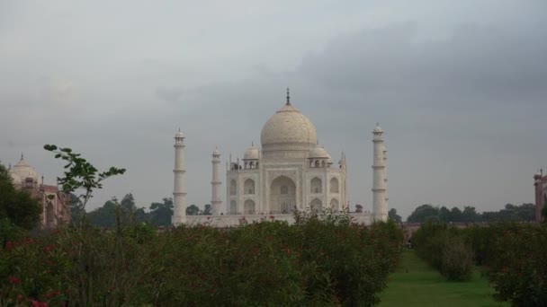 Taj Mahal Unesco World Heritage Site Agra India — 비디오