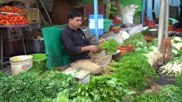 Nagpur Maharashtra India Diciembre 2022 Vendedores Ambulantes Que Venden Verduras — Vídeo de stock