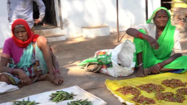 Nagpur Maharashtra Inde Décembre 2022 Vendeurs Rue Vendant Des Légumes — Video
