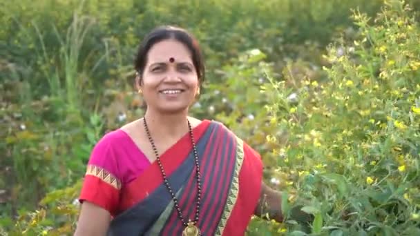Szczęśliwa Hinduska Kobieta Tradycyjnej Odzieży Polu Rolnictwa — Wideo stockowe