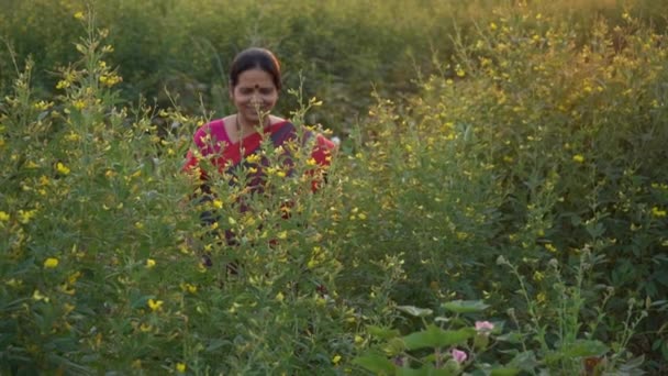 Щаслива Індійська Жінка Традиційному Одязі Сільському Господарстві — стокове відео