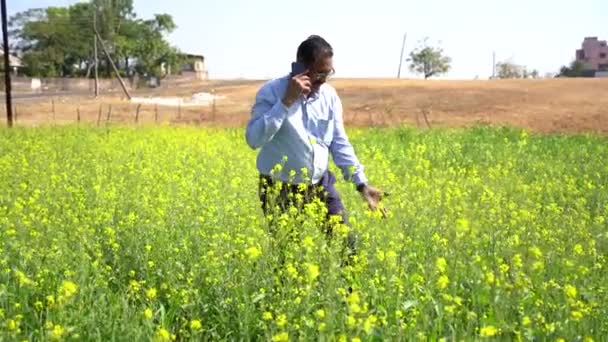 在农业领域快乐的印度人 — 图库视频影像