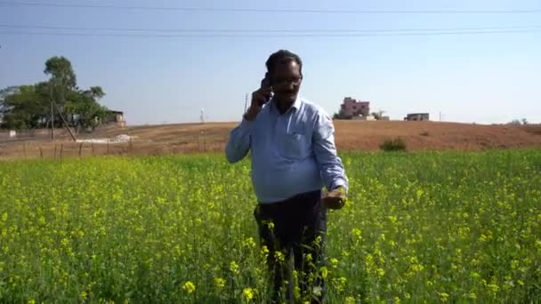 Happy Indian Man Agriculture Field — Stock Video