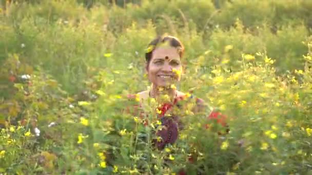 Šťastná Indická Žena Tradičním Oblečení Poli Zemědělství — Stock video