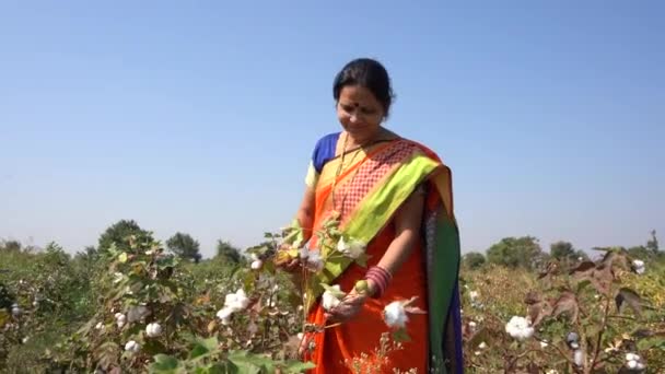Happy Indian Woman Traditional Clothes Agriculture Field — Stock Video