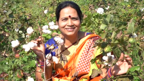 Boldog Indiai Hagyományos Ruhákban Mezőgazdaságban — Stock videók
