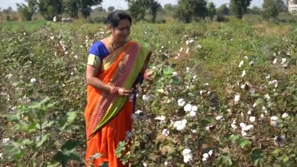Glad Indisk Kvinna Traditionella Kläder Jordbruksområdet — Stockvideo