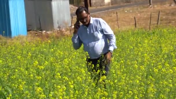 Glad Indisk Man Inom Jordbruket — Stockvideo