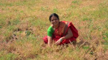 Nohut tarlasında mutlu Hintli kadın, nohut tarlasında kadın çiftçi..
