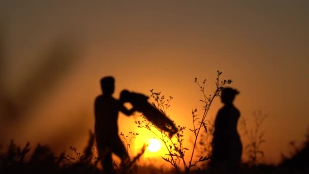 日落时父母与孩子玩耍的轮廓 — 图库视频影像