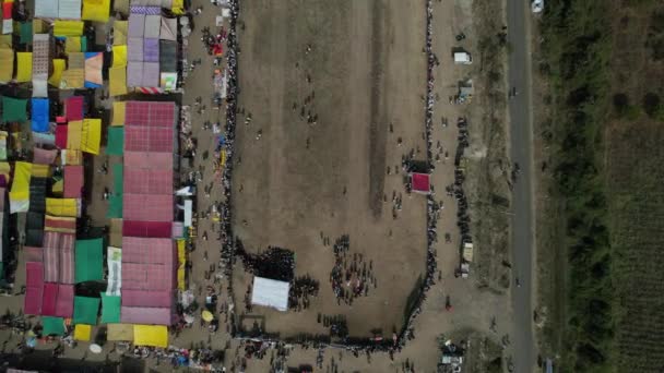 Talegaon Amravati Maharashtra Indien Januar 2023 Drohnenaufnahme Des Ochsenkarrenrennens Anlässlich — Stockvideo