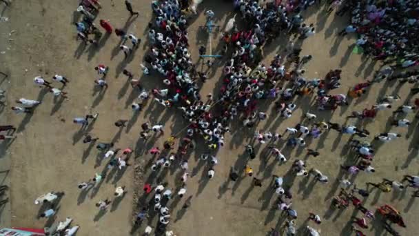 Talegaon Amravati Maharashtra India January 2023 Tembakan Udara Balap Bullock — Stok Video