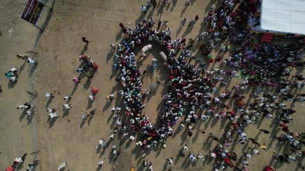 Talegaon Amravati Maharashtra India Januari 2023 Drone Luchtfoto Van Bullock — Stockvideo