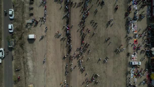 Talegaon Amravati Maharashtra India January 2023 Drone Aerial Shot Bullock — Stock Video